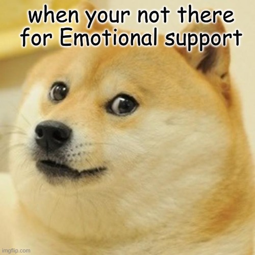 Doge Meme | when your not there for Emotional support | image tagged in memes,doge | made w/ Imgflip meme maker