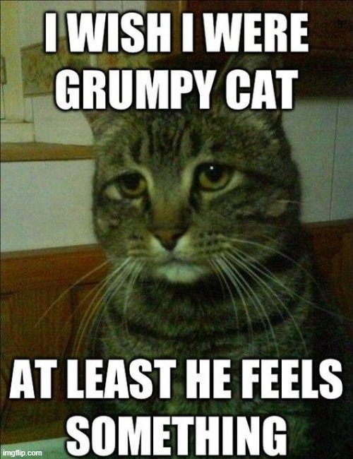 understandable | image tagged in sad,cats,sad cat,crying,emotional,sad but true | made w/ Imgflip meme maker