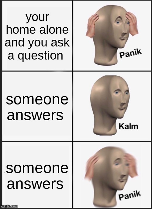 Panik Kalm Panik | your home alone and you ask a question; someone answers; someone answers | image tagged in memes,panik kalm panik | made w/ Imgflip meme maker