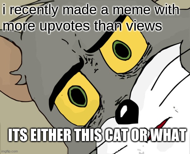Unsettled Tom Meme | i recently made a meme with; more upvotes than views; ITS EITHER THIS CAT OR WHAT | image tagged in memes,unsettled tom | made w/ Imgflip meme maker