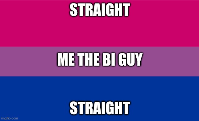 STRAIGHT; ME THE BI GUY; STRAIGHT | image tagged in bisexual | made w/ Imgflip meme maker
