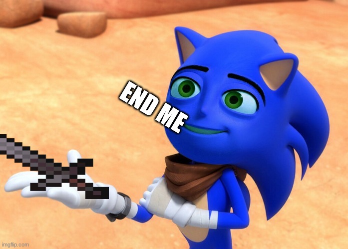 The Sanic Movie | END ME | image tagged in the sanic movie | made w/ Imgflip meme maker