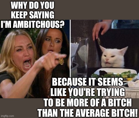 Woman yelling at cat | WHY DO YOU KEEP SAYING I'M AMBITCHOUS? BECAUSE IT SEEMS LIKE YOU'RE TRYING TO BE MORE OF A BITCH THAN THE AVERAGE BITCH! | image tagged in karen vs table cat | made w/ Imgflip meme maker