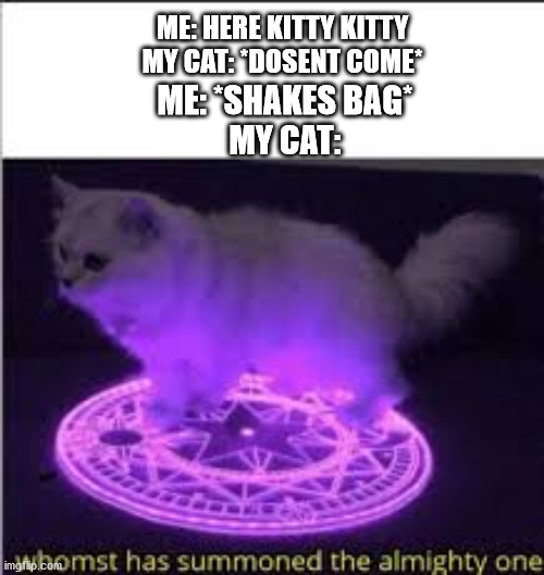 Le cat want fud | ME: HERE KITTY KITTY
MY CAT: *DOSENT COME*; ME: *SHAKES BAG*
MY CAT: | image tagged in whomst has summoned the almighty one | made w/ Imgflip meme maker