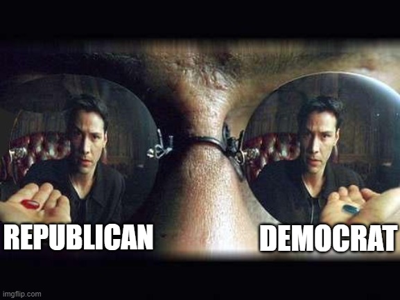 2020 US Election in a nutshell | DEMOCRAT; REPUBLICAN | image tagged in red pill blue pill,memes,election 2020,political meme,republican,democrat | made w/ Imgflip meme maker