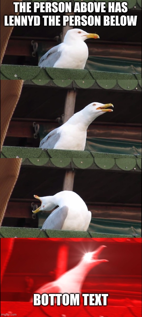 Inhaling Seagull | THE PERSON ABOVE HAS LENNYD THE PERSON BELOW; BOTTOM TEXT | image tagged in memes,inhaling seagull | made w/ Imgflip meme maker