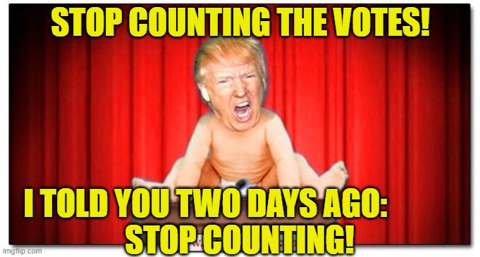Stop Counting, Minions! | STOP COUNTING THE VOTES! I TOLD YOU TWO DAYS AGO:          
 STOP COUNTING! | image tagged in angry baby,trump,deplorable donald,election 2020,presidential election | made w/ Imgflip meme maker