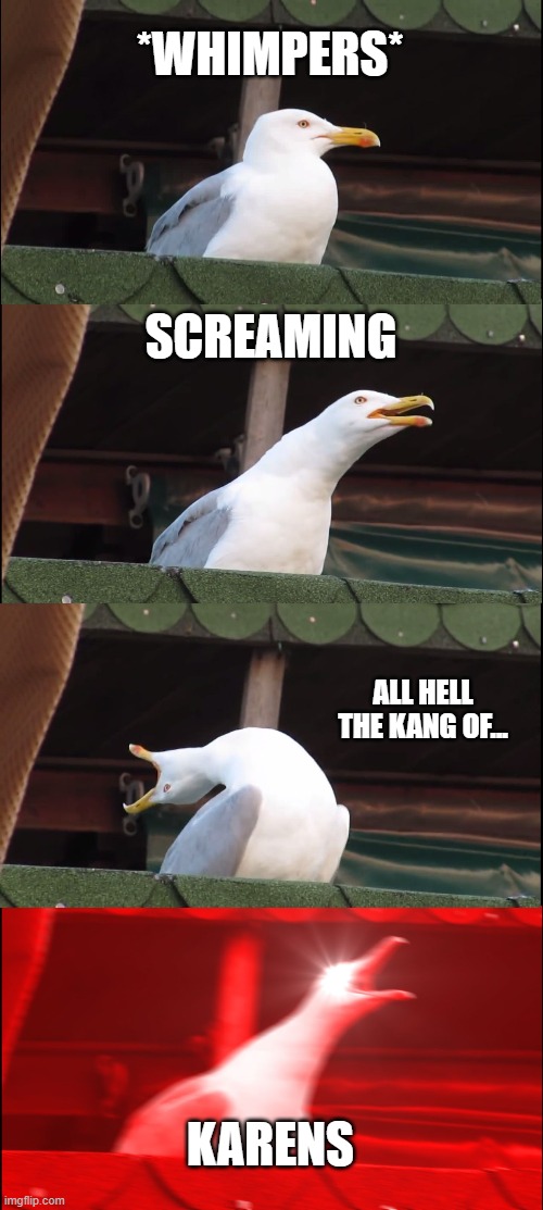 Inhaling Seagull | *WHIMPERS*; SCREAMING; ALL HELL THE KANG OF... KARENS | image tagged in memes,inhaling seagull | made w/ Imgflip meme maker