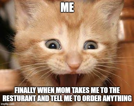 Excited Cat | ME; FINALLY WHEN MOM TAKES ME TO THE RESTURANT AND TELL ME TO ORDER ANYTHING | image tagged in memes,excited cat | made w/ Imgflip meme maker