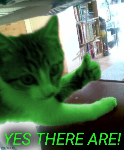 thumbs up RayCat | YES THERE ARE! | image tagged in thumbs up raycat | made w/ Imgflip meme maker