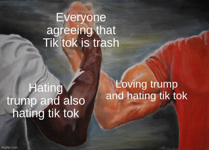 No matter who you are, we can all agree on one thing... | Everyone agreeing that Tik tok is trash; Loving trump and hating tik tok; Hating trump and also hating tik tok | image tagged in memes,epic handshake,agree,trump,tik tok | made w/ Imgflip meme maker