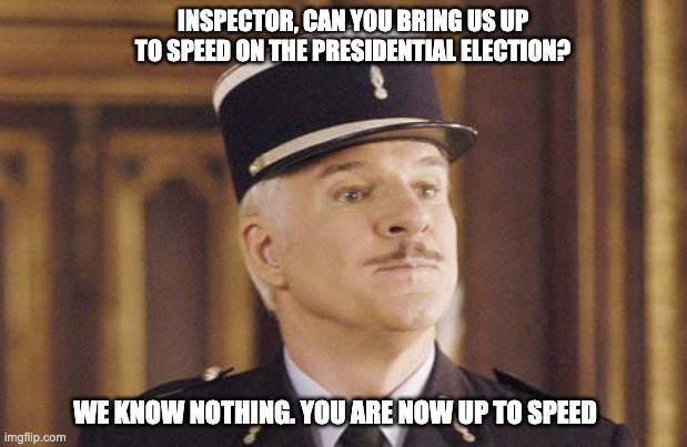 Inspector Clouseau - Pink Panther | INSPECTOR, CAN YOU BRING US UP TO SPEED ON THE PRESIDENTIAL ELECTION? WE KNOW NOTHING. YOU ARE NOW UP TO SPEED | image tagged in pink panther,election 2020,steve martin | made w/ Imgflip meme maker