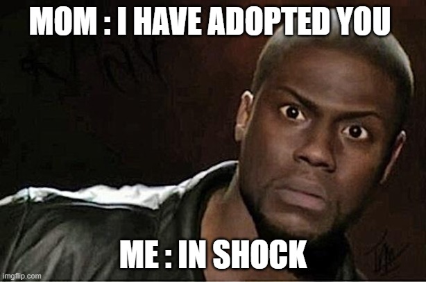 Kevin Hart Meme | MOM : I HAVE ADOPTED YOU; ME : IN SHOCK | image tagged in memes,kevin hart | made w/ Imgflip meme maker