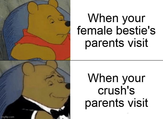 Crush things | When your female bestie's parents visit; When your crush's parents visit | image tagged in memes,tuxedo winnie the pooh | made w/ Imgflip meme maker
