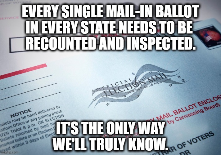I smell a democRat | EVERY SINGLE MAIL-IN BALLOT
IN EVERY STATE NEEDS TO BE 
RECOUNTED AND INSPECTED. IT'S THE ONLY WAY
WE'LL TRULY KNOW. | image tagged in mail-in ballots,memes,election 2020 | made w/ Imgflip meme maker