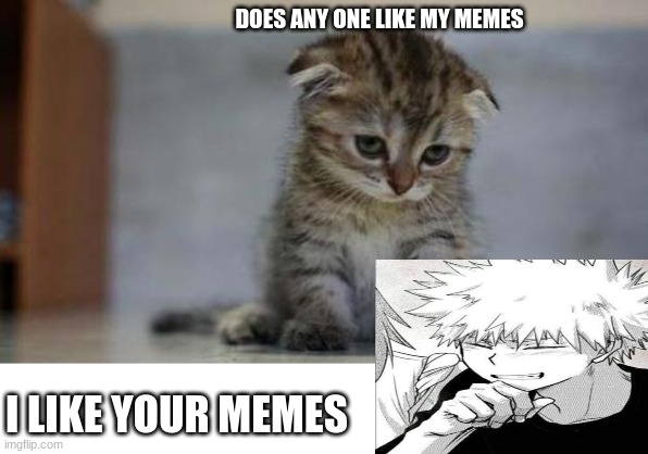Sad kitten | DOES ANY ONE LIKE MY MEMES; I LIKE YOUR MEMES | image tagged in sad kitten | made w/ Imgflip meme maker
