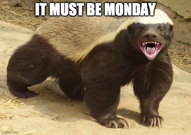 Honey badger | IT MUST BE MONDAY | image tagged in honey badger | made w/ Imgflip meme maker