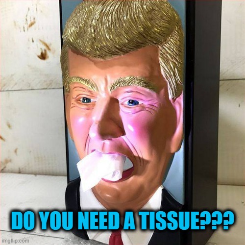 Tissue | DO YOU NEED A TISSUE??? | image tagged in trump | made w/ Imgflip meme maker