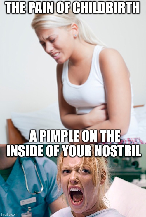 The relativity of pain | THE PAIN OF CHILDBIRTH; A PIMPLE ON THE INSIDE OF YOUR NOSTRIL | image tagged in pain,truth | made w/ Imgflip meme maker