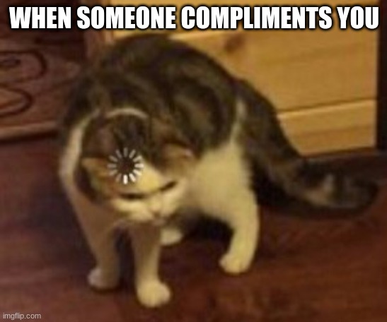 Loading cat | WHEN SOMEONE COMPLIMENTS YOU | image tagged in loading cat | made w/ Imgflip meme maker