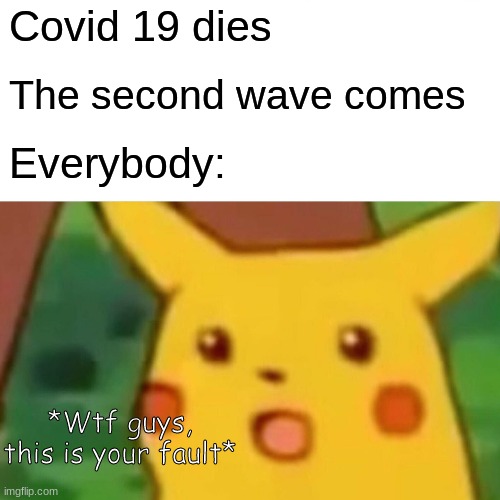 Bruh | Covid 19 dies; The second wave comes; Everybody:; *Wtf guys, this is your fault* | image tagged in memes,surprised pikachu | made w/ Imgflip meme maker