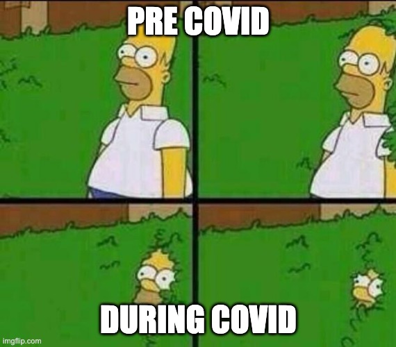 Homer Simpson in Bush - Large | PRE COVID; DURING COVID | image tagged in homer simpson in bush - large | made w/ Imgflip meme maker