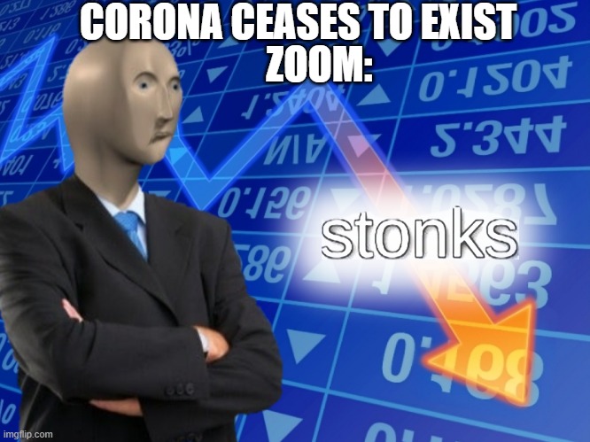 Zoom | CORONA CEASES TO EXIST; ZOOM: | image tagged in zoom,corona | made w/ Imgflip meme maker