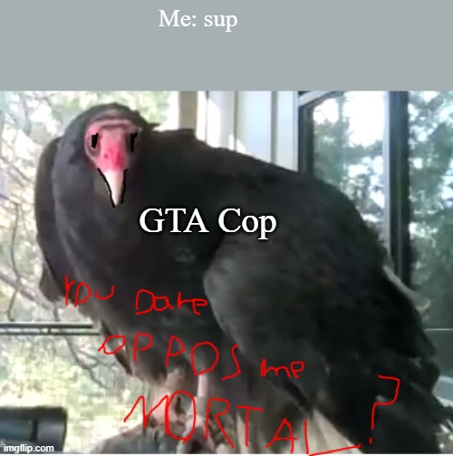 You dare oppose me? | Me: sup; GTA Cop | image tagged in you dare oppose me | made w/ Imgflip meme maker