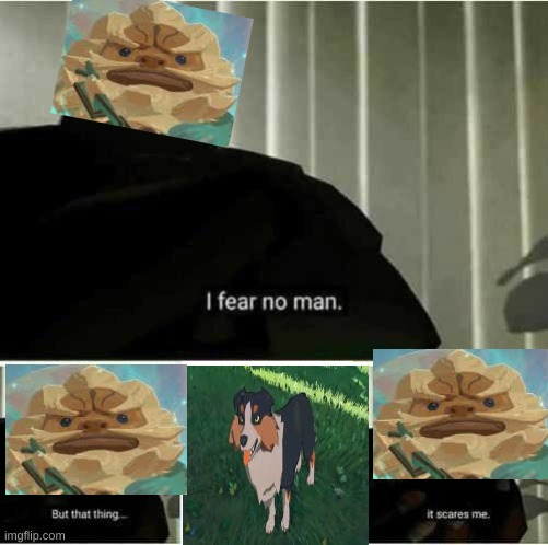 daruk is scared of dogs | image tagged in i fear no man,the legend of zelda breath of the wild | made w/ Imgflip meme maker