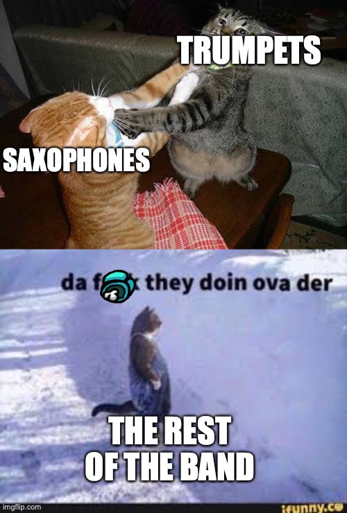  TRUMPETS; SAXOPHONES; THE REST OF THE BAND | image tagged in two cats fighting for real | made w/ Imgflip meme maker