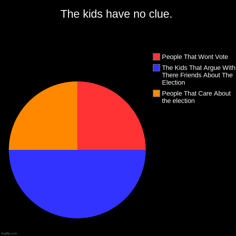 The Kids Dont Even Know | The kids have no clue. | People That Care About the election, The Kids That Argue With There Friends About The Election, People That Wont Vo | image tagged in charts,pie charts | made w/ Imgflip chart maker