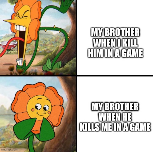 angry flower | MY BROTHER WHEN I KILL HIM IN A GAME; MY BROTHER WHEN HE KILLS ME IN A GAME | image tagged in angry flower | made w/ Imgflip meme maker