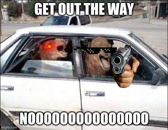 goat gang | GET OUT THE WAY; NOOOOOOOOOOOOOOO | image tagged in memes,quit hatin | made w/ Imgflip meme maker