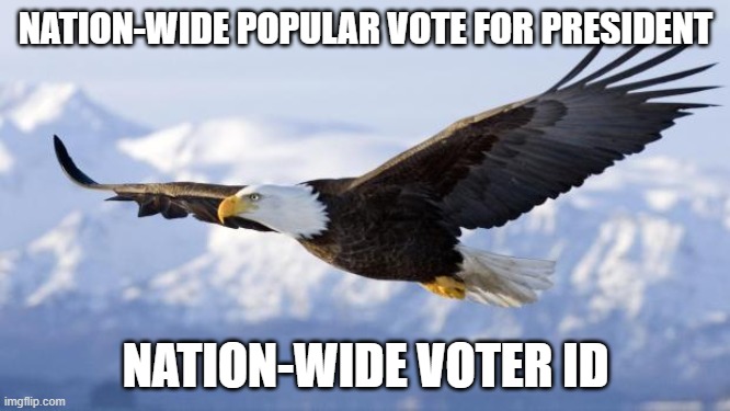 eagle | NATION-WIDE POPULAR VOTE FOR PRESIDENT; NATION-WIDE VOTER ID | image tagged in eagle | made w/ Imgflip meme maker