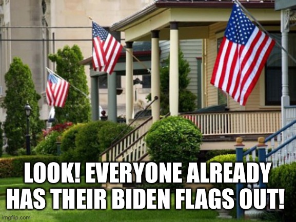 Biden wins | LOOK! EVERYONE ALREADY HAS THEIR BIDEN FLAGS OUT! | image tagged in joe biden wins trump loses,joe biden wins,american flag | made w/ Imgflip meme maker