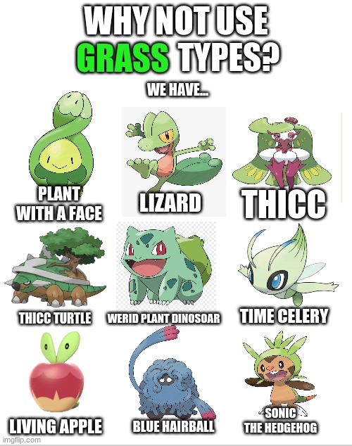 why not use grass types? | WHY NOT USE
                 TYPES? GRASS; WE HAVE... THICC; PLANT WITH A FACE; LIZARD; THICC TURTLE; TIME CELERY; WERID PLANT DINOSOAR; SONIC THE HEDGEHOG; BLUE HAIRBALL; LIVING APPLE | image tagged in blank white template,pokemon memes | made w/ Imgflip meme maker
