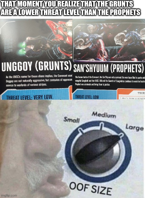 what would the Grunts have to say about this | THAT MOMENT YOU REALIZE THAT THE GRUNTS ARE A LOWER THREAT LEVEL THAN THE PROPHETS | image tagged in oof size large | made w/ Imgflip meme maker