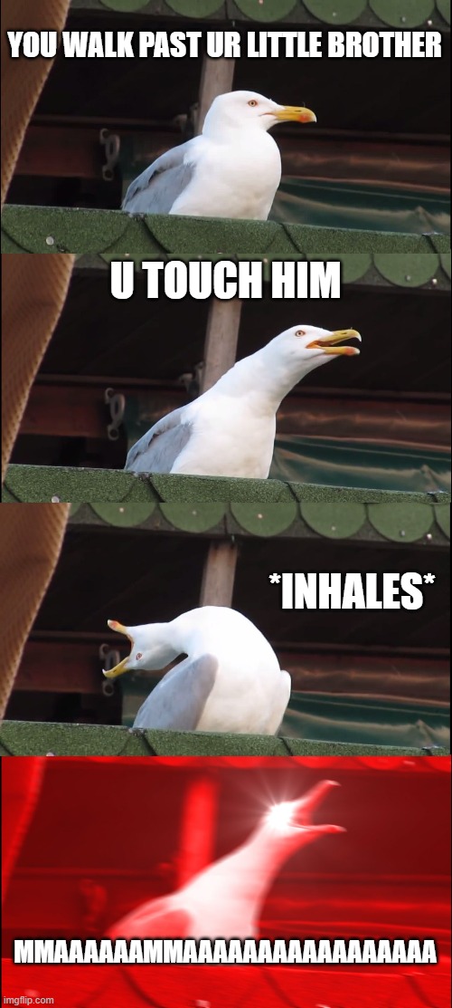 this is normal | YOU WALK PAST UR LITTLE BROTHER; U TOUCH HIM; *INHALES*; MMAAAAAAMMAAAAAAAAAAAAAAAAA | image tagged in memes,inhaling seagull | made w/ Imgflip meme maker