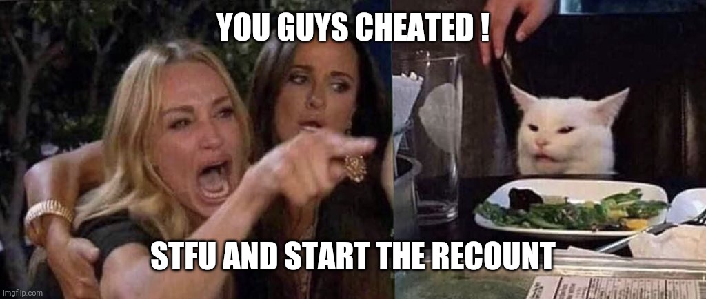 woman yelling at cat | YOU GUYS CHEATED ! STFU AND START THE RECOUNT | image tagged in woman yelling at cat | made w/ Imgflip meme maker