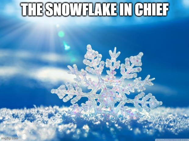 snowflake | THE SNOWFLAKE IN CHIEF | image tagged in snowflake | made w/ Imgflip meme maker