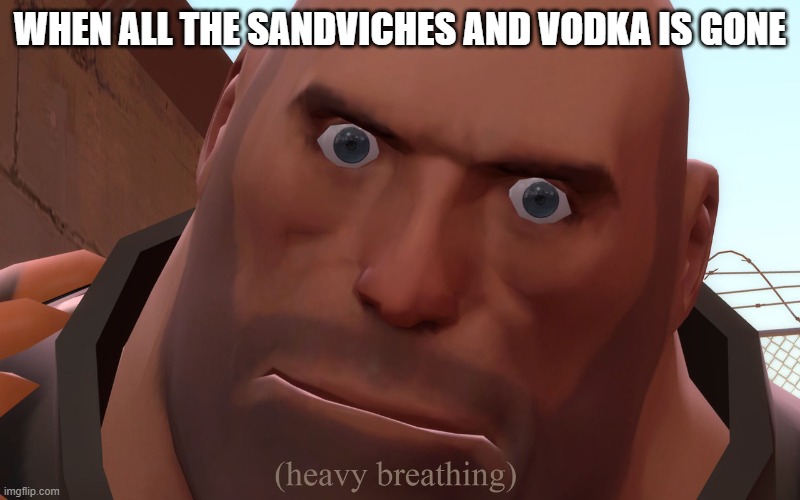 WHEN ALL THE SANDVICHES AND VODKA IS GONE | made w/ Imgflip meme maker