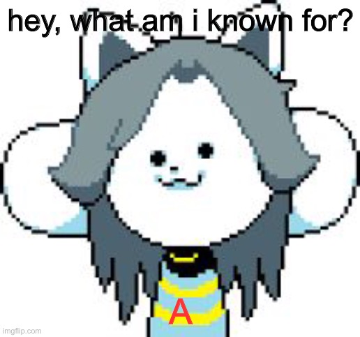 trend thingy i’m joining in | hey, what am i known for? A | image tagged in temmie | made w/ Imgflip meme maker