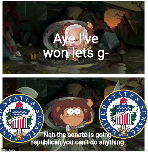 If biden wins: | Aye I've won lets g-; Nah the senate is going republican you can't do anything | image tagged in amphibia anne gets caught in sewer | made w/ Imgflip meme maker