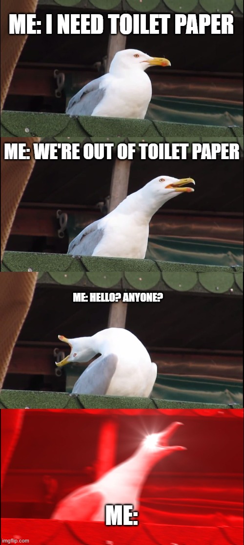 my meme | ME: I NEED TOILET PAPER; ME: WE'RE OUT OF TOILET PAPER; ME: HELLO? ANYONE? ME: | image tagged in memes,inhaling seagull | made w/ Imgflip meme maker