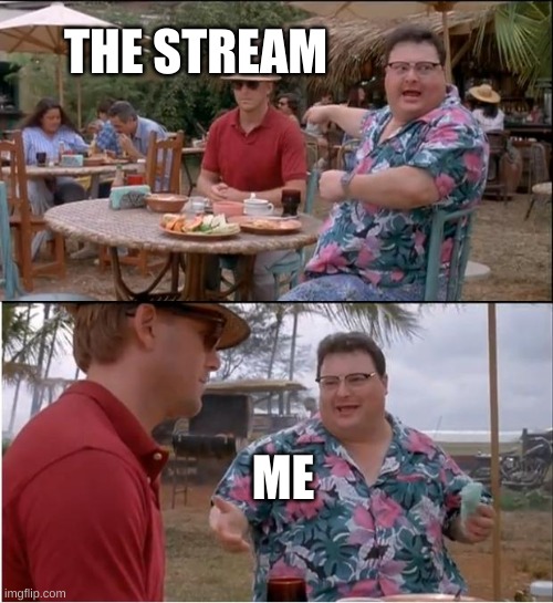 See Nobody Cares |  THE STREAM; ME | image tagged in memes,see nobody cares | made w/ Imgflip meme maker