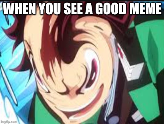 MEME USED FOR "WHEN THE" MEMES | WHEN YOU SEE A GOOD MEME | image tagged in meme used for when the memes | made w/ Imgflip meme maker