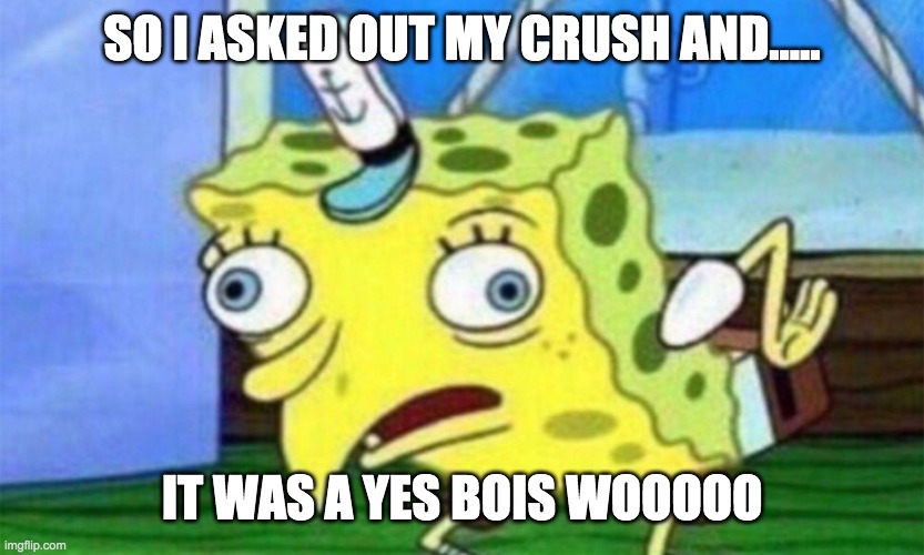 spongebob stupid | SO I ASKED OUT MY CRUSH AND..... IT WAS A YES BOIS WOOOOO | image tagged in spongebob stupid | made w/ Imgflip meme maker