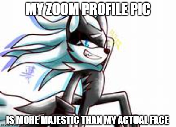 MY ZOOM PROFILE PIC IS MORE MAJESTIC THAN MY ACTUAL FACE | made w/ Imgflip meme maker