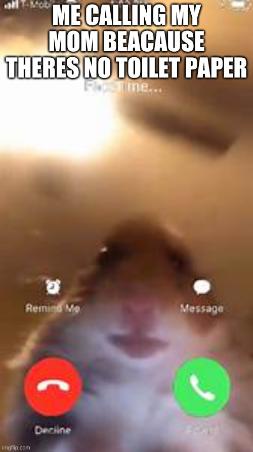 hamster | ME CALLING MY MOM BEACAUSE THERES NO TOILET PAPER | image tagged in memes | made w/ Imgflip meme maker