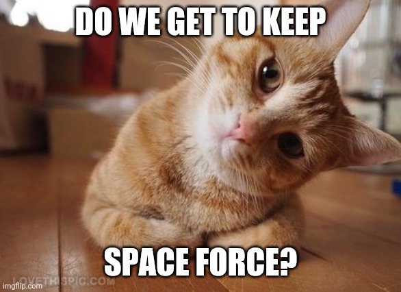 Curious Question Cat | DO WE GET TO KEEP; SPACE FORCE? | image tagged in curious question cat | made w/ Imgflip meme maker
